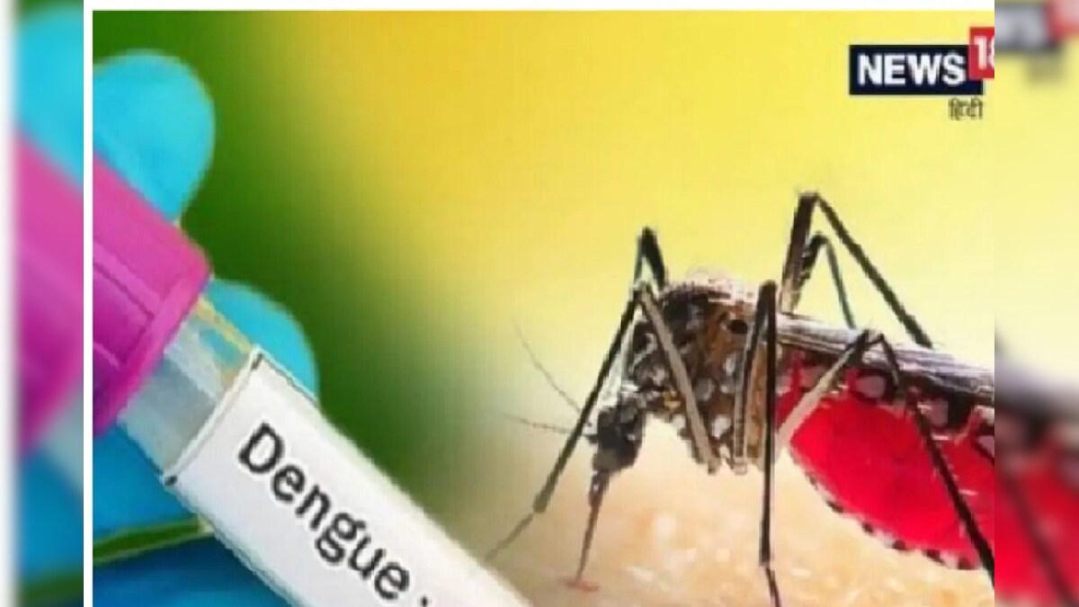 पंजाब सरकार ने निजी अस्‍पतालों में फिक्‍स की डेंगू जांच की कीमतें सरकारी अस्‍पतालों में मुफ्त होगा टेस्‍ट