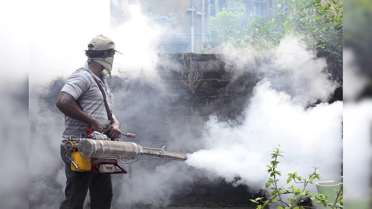 दिल्ली-एनसीआर समेत UP और बिहार में भी बढ़ रहा है डेंगू का खतरा जानें कब मिलेगा इससे छुटकारा