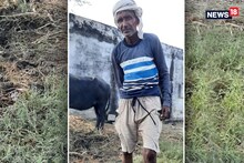Rajasthan: जहरीले कीड़े बने किसानों की जान के दुश्मन, फिर एक किसान को सुला दिया मौत की नींद