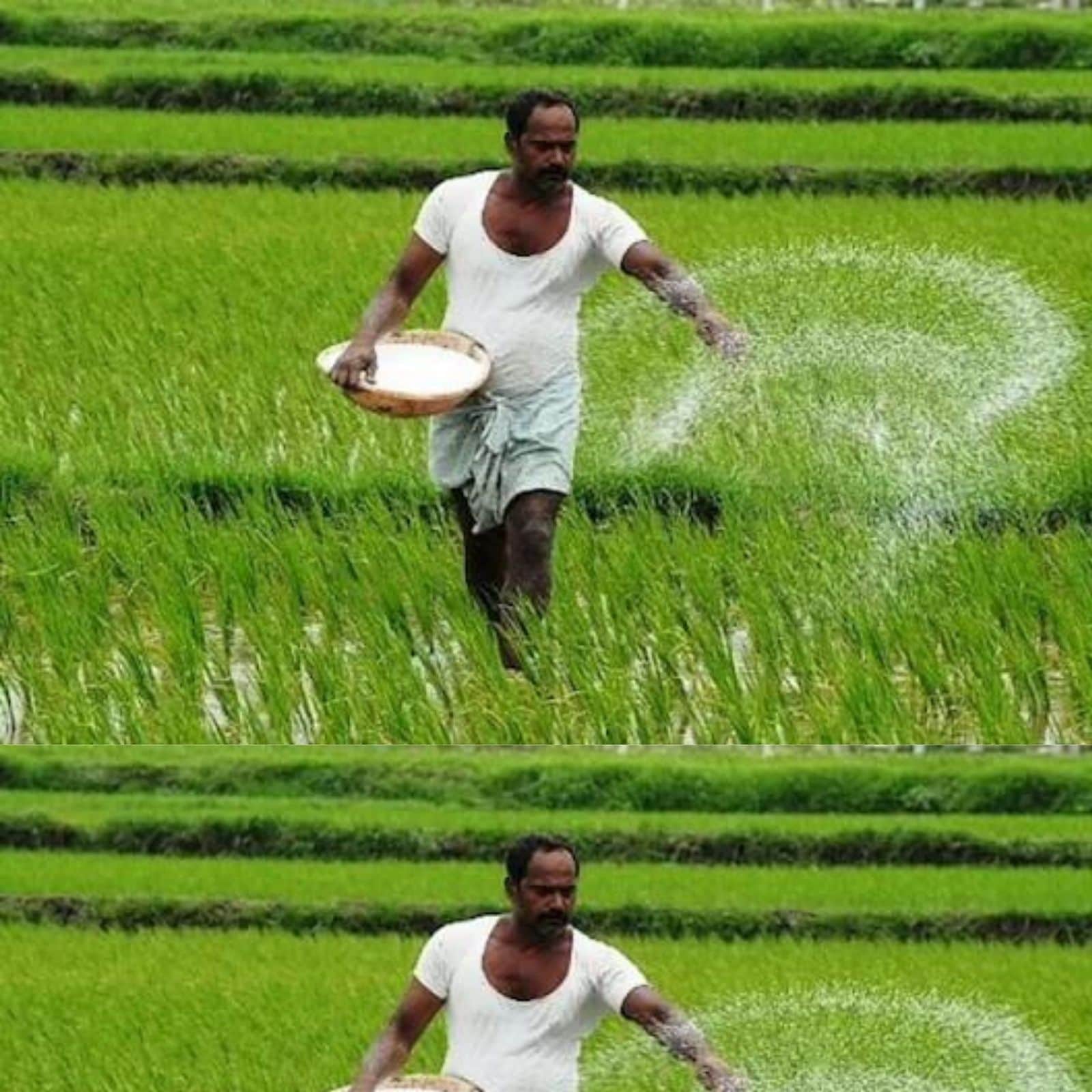 PM PRANAM, PM PRANAM scheme, Department of fertilizers, fertilizer Ministry, kharif season, Department of Agriculture and Farmers Welfare