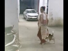लिफ्ट में बच्चे को काटने वाले कुत्ते को घुमाती नजर आई महिला, VIDEO वायरल