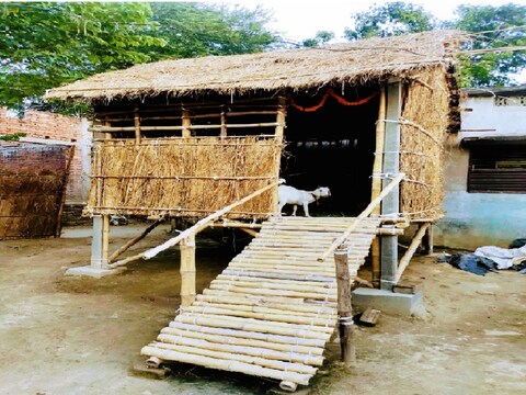 बाढ़ प्रभावित राज्‍यों में बकरियों के लिए स्‍पेशल घर बनाए जा रहे हैं.  