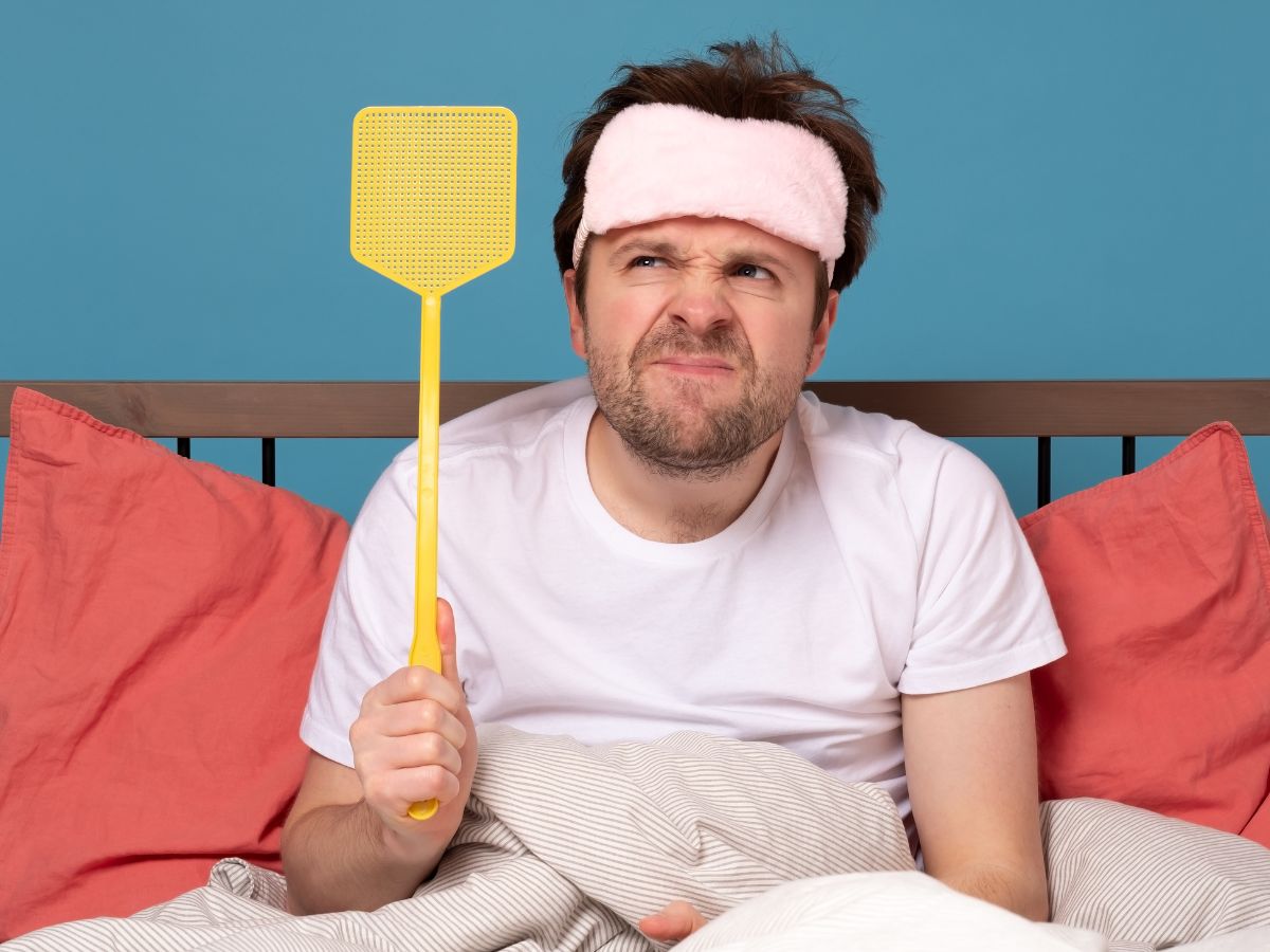 मच्छरों की वजह से नहीं आती नींद, इन घरेलू उपायों से पाएं छुटकारा mosquitoes home remedies to