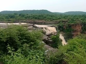  कैमूर पहाड़ी पर कर्मनाशा नदी के ऊपर स्थित इस जलप्रपात की खूबसूरती बरसात के दिनों मे काफी बढ़ जाती है. प्राकृतिक सौंदर्य से परिपूर्ण कैमूर हिल्स को बिहार का यूरोप कहा जाता है. कैमूर हिल्स लगभग 483 किलोमीटर लंबी विंध्य पहाड़ियों का पूर्वी भाग है, जो मध्य प्रदेश के जबलपुर जिले से बिहार के कैमूर-रोहतास जिलों के आसपास तक फैला हुआ है. (फोटो: अभिनव कुमार सिंह/न्‍यूज 18 हिन्‍दी)