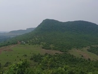  कैमूर घाटी की जैव विविधता, तरह तरह के पंछी, दुलर्भ जंगली जानवर, मूल्यवान आयुर्वेदिक औषधियां, दुर्गम किले, प्राकृतिक जलप्रपात आदि पर्यटकों के मन को मोह लेते हैं. पहाड़ियों पर स्थित हिन्दू देवी-देवताओं के पौराणिक और रहस्यमय मंदिर कैमूर हिल्स की लोकप्रियता में चार चांद लगाने का काम करते हैं. (फोटो: अभिनव कुमार सिंह/न्‍यूज 18 हिन्‍दी)