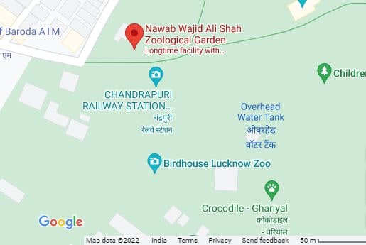 Lucknow news, Uttar pradesh, Nawab Wajid Ali Shah zoo, Lucknow Zoo, Male Himalayan black bear, zoo Hospital, up news, lucknow zoological garden, नवाब वाजिद अली शाह, लखनऊ चिड़ियाघर, हिमालयन काला भालू, नागालैंड