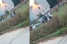 UP: बिजनौर शहर के इस खेल मैदान में पढ़ी गई सार्वजनिक नमाज, वीडियो वायरल