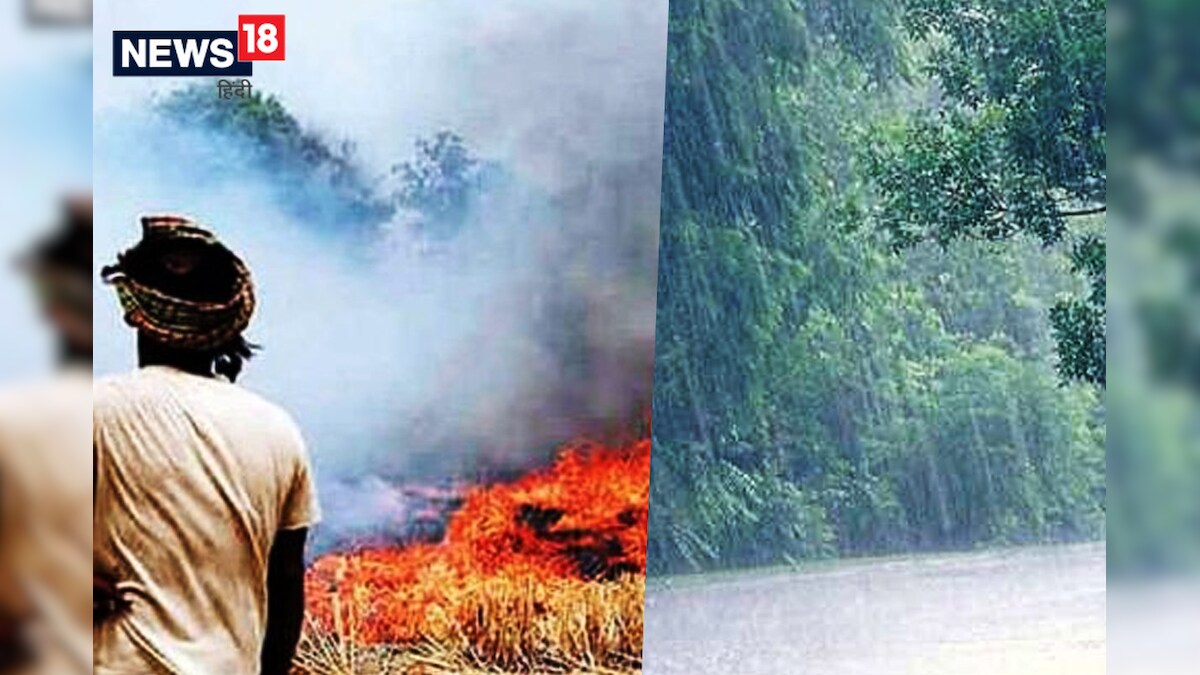 भारी बारिश से पंजाब में पराली जलाने की घटनाएं कम हुईं दिल्‍ली-NCR में दिखा असर