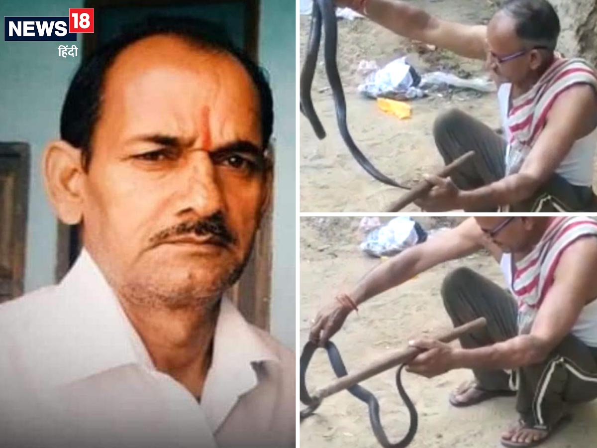Video 20 बरसों से खतरनाक सांपों को पकड़ रहा था ये स्नैकमैन, आखिरकार