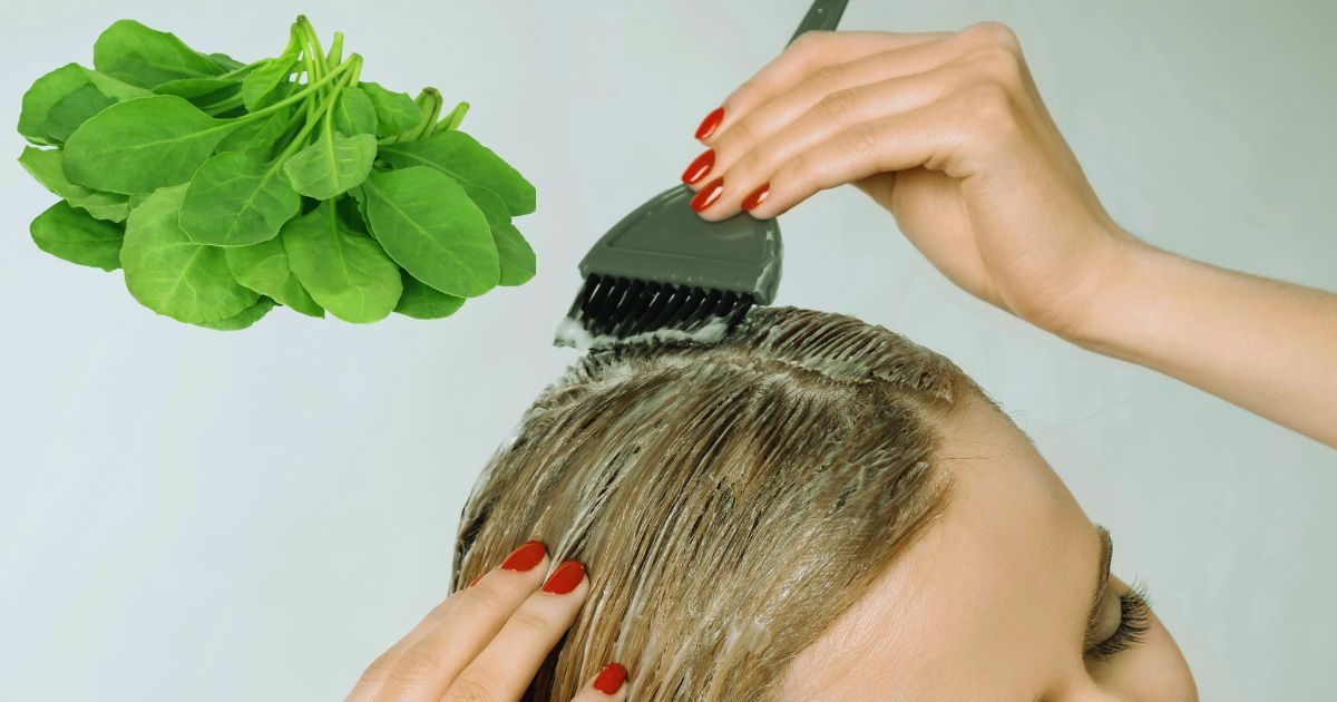 हेयर फॉल से नहीं मिल रही राहत तो ट्राई करें पालक हेयर मास्क, कुछ ही
