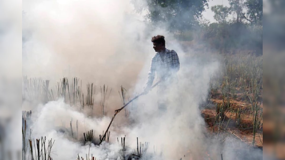 Air Pollution : पराली जलाने और निर्माण कार्यों में लापरवाही से घुट रहा दम, राहत के लिए बारिश का इंतजार.. 2 Air Pollution: पराली जलाने से होने वाले ...