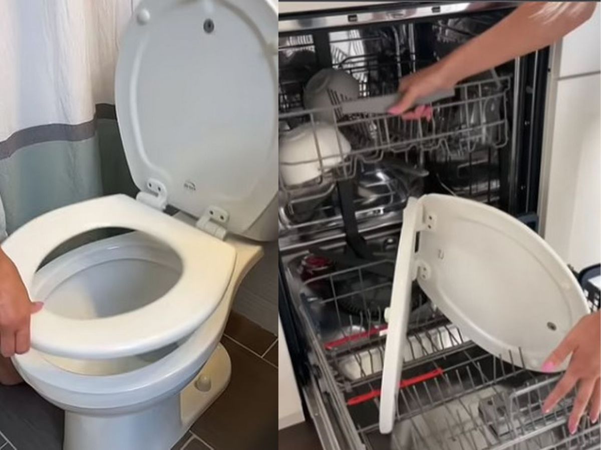 VIDEO डिशवॉशर में बर्तनों के साथ शख्स ने धो दी टॉयलेट सीट! घिनौनी हरकत