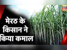 Meerut News: मेरठ के किसान ने उगाया 16 फीट लंबा गन्ना, आमदनी भी हुई दोगुनी | Hindi News
