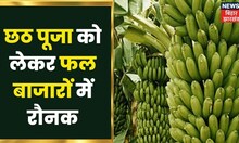 Chhath Puja 2022: छठ को लेकर फल बाजार में रौनक, बाजार समिति ने उतारे कई ट्रक फल | Bihar News