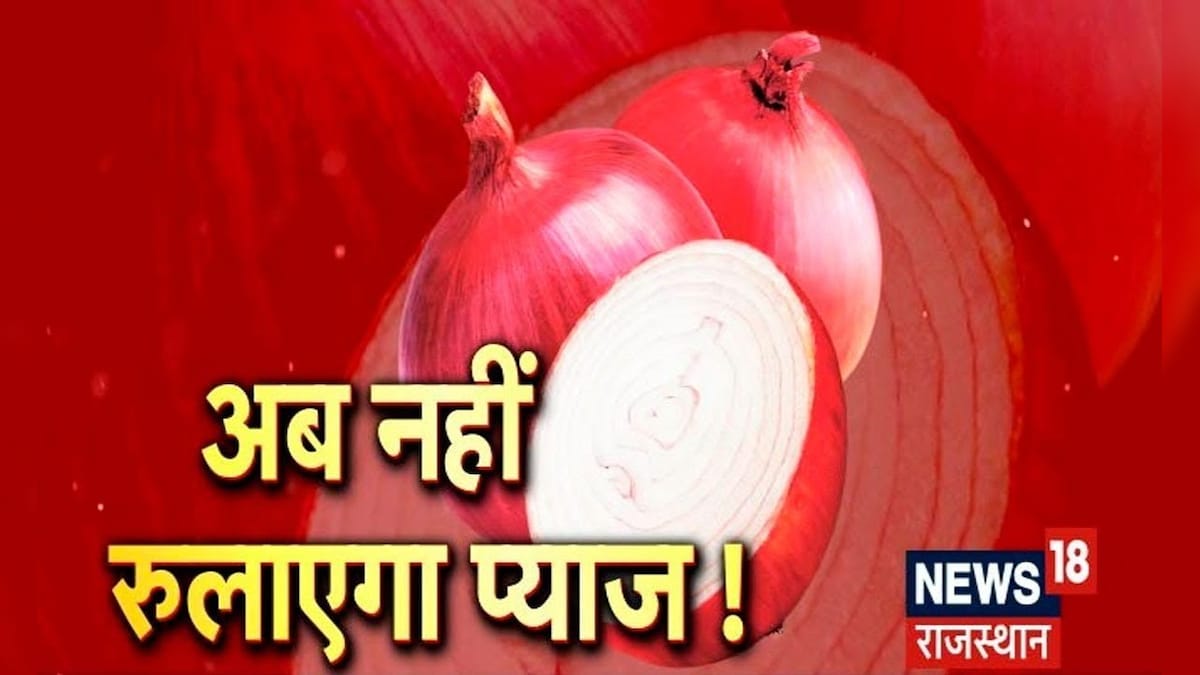 Onion Farming प्याज की बंपर पैदावार, पूरे देश में बंटेगा Alwar का
