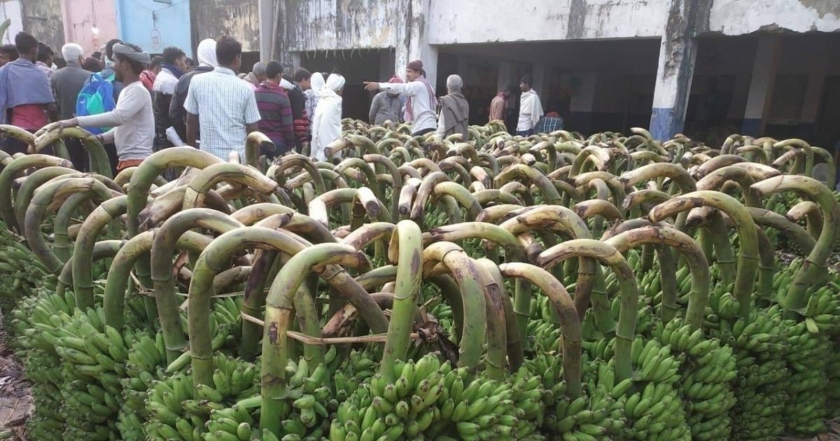 कश्मीरहिमाचल से सेब तो, कर्नाटकआंध्र प्रदेश से पहुंचा केला, पटना में