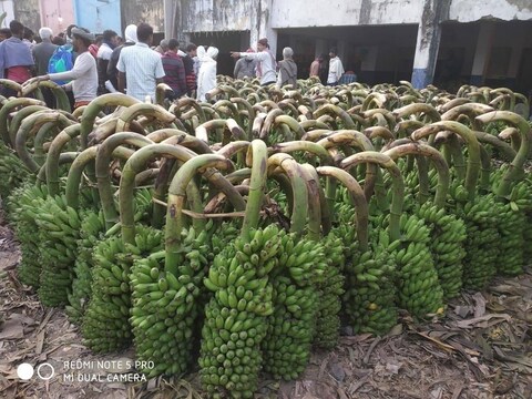 पटना के फल बाजार में बिक्री के लिए रखा केला