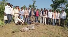 तंत्र-साधना कर गड़ा धन पाने के लालच में किया तेंदुए का शिकार, 5 आरोपी गिरफ्तार