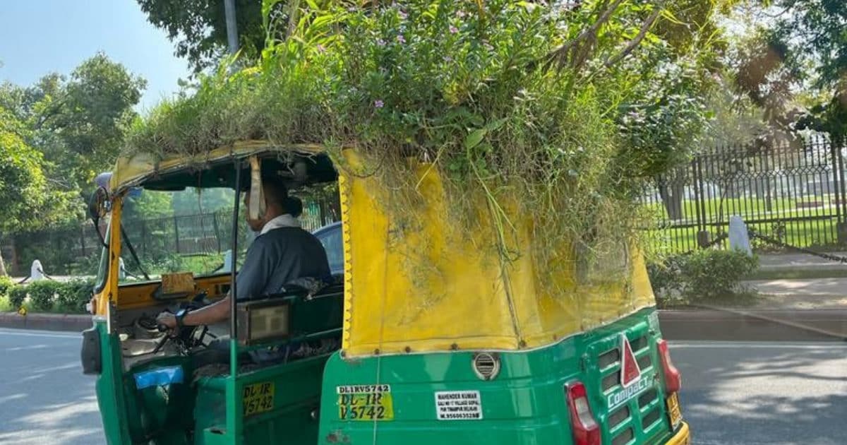 पर्यावरण की फिक्र: ऑटो के ऊपर बना डाला मिनी गार्डन, यात्रियों को मिलती ...