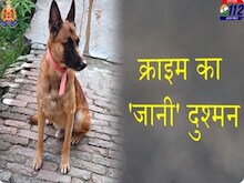 गुरुग्राम: सिक्योरिटी गार्ड ने कुत्ता टहलाने से टोका तो मालिक ने की पिटाई