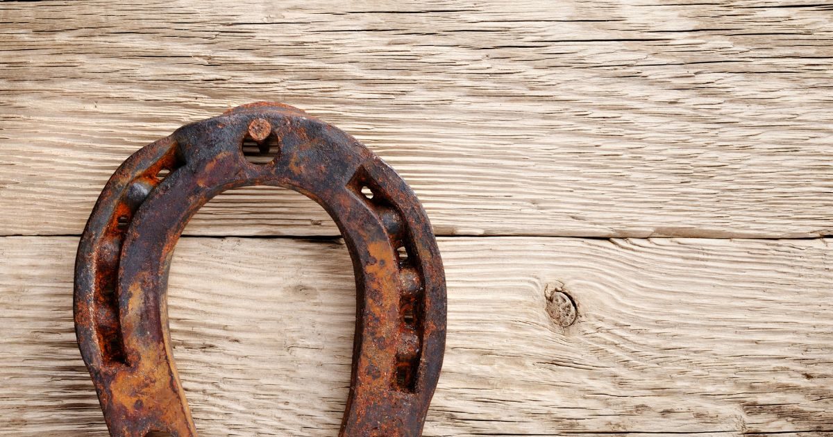 Vastu Tips घोड़े की नाल से घर में खुशियों का होगा आगमन, जीवन में