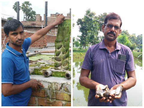 गया जिले के अजय मेहता और उदय कुमार पर्ल फार्मिंग कर रहे हैं. 