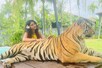 प्रिया प्रकाश शेर के साथ समय बिताती आईं नजर, बोली...