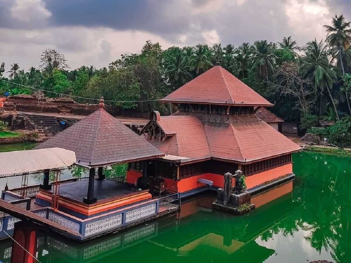 बब‍िया मंद‍िर के तालाब में मछली के साथ ही रहता था. श्री अनंतपद्मनाभ स्वामी मंदिर, केरल मंदिर, दिव्य मगरमच्छ, बबिया मगरमच्‍छ, शोभा करंदलजे, केरल समाचार, Sri Ananthapadmanabha Swamy Temple, Kerala Temple, Divine Crocodile, Babiya Crocodile, Shobha Karandlaje, Kerala News