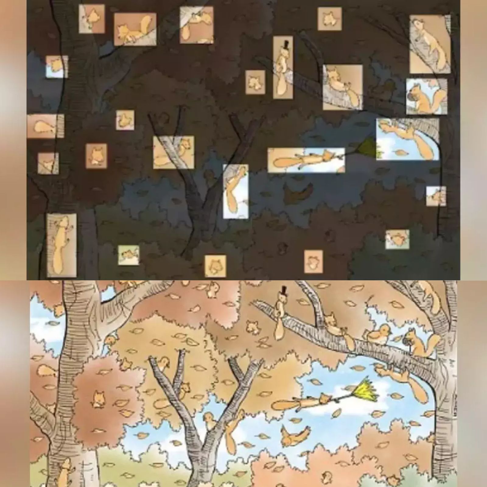 optical illusion