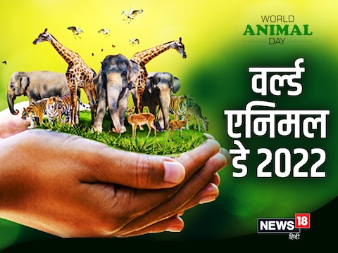 World Animal Day 2022: हर साल क्यों मनाया जाता है 'वर्ल्ड एनिमल डे', जानें कब और कैसे हुई थी शुरुआत - world animal day 2022 history significance and theme in hindi kee – News18 हिंदी World Animal Day 2022: हर साल क्यों मनाया जाता है 'वर्ल्ड एनिमल डे', जानें कब और कैसे हुई थी शुरुआत - world animal day 2022 history significance and theme in hindi kee – News18 हिंदी