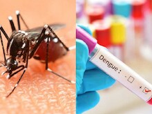 डायबिटीज पेशेंट को रहता है डेंगू शॉक सिंड्रोम का खतरा, जानें क्या है बिमारी?