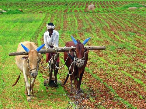किसानों के फायदे की खबर 