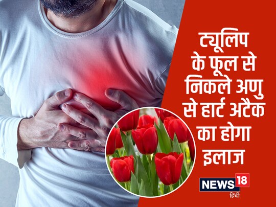ट्यूलिप के पौधे के तने से इस अणु का निकाला जाता है. 
