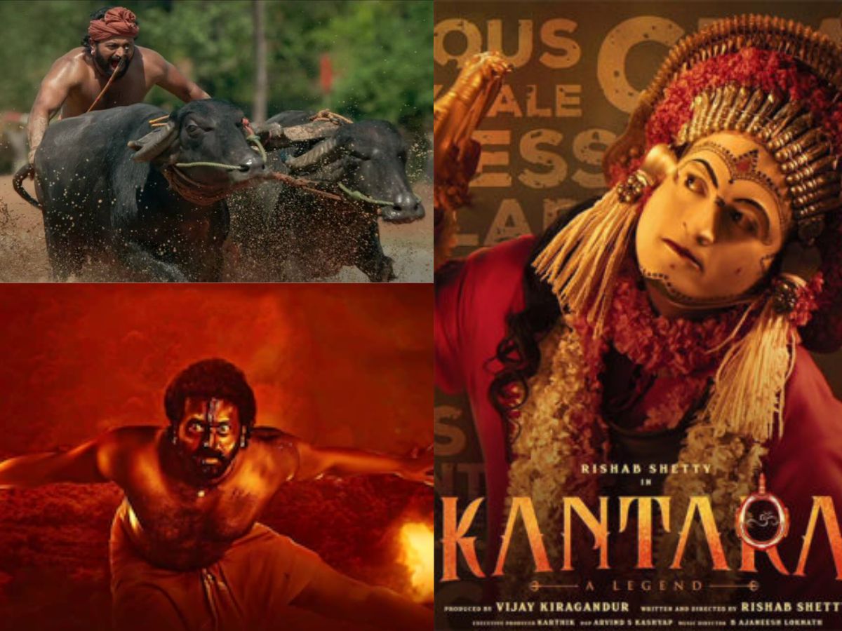 ऋषभ शेट्टी की 'Kantara' की दहाड़ ने KGF और RRR को दिया पछाड़, बन गई IMDb पर  सबसे ज्यादा रेटिंग वाली फिल्म - rishab shetty starrer kantara sprints ahead  of kgf 2