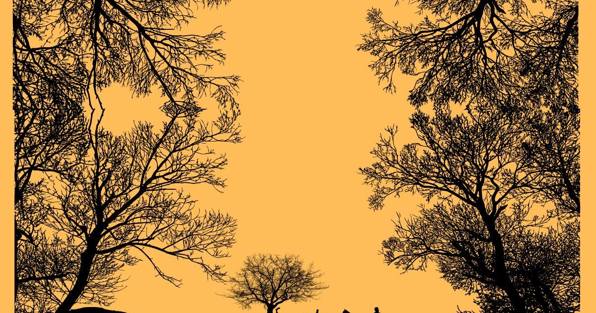 Religious Significance Of Planting Trees Hindustan News Hub