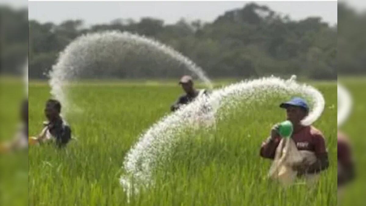 Fertilizer Crisis: क्या यूरिया- DAP खाद की किल्लत है जानें देश में उर्वरक सप्लाई चेन के गणित को