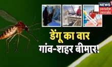 UP News : शहर से लेकर गांव तक बढ़ रहा Dengue का प्रकोप, स्वास्थ्य विभाग पर उठने लगे हैं सवाल