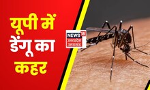 Dengue Cases in UP : UP में Dengue का कहर, तेजी से बढ़ रहे डेंगू के मरीज | Dengue Cases in India