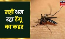 Bhagalpur: Dengue से एक महिला की मौत, परिजनों ने प्रशासनिक लापरवाही का लगाया आरोप | Bihar News