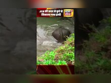 JCB की मदद से कुएं से निकाला गया हाथी | Hindi News | #shorts