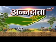 Annadata| खेती कार्यों में किसानों को रखनी चाहिए किन बातों की जानकारी, देखिए | Agriculture News