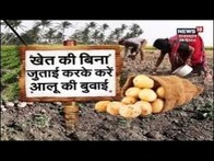 Annadata | बिना खेत की जुताई करें कैसे करें आलू के फसल की बुवाई, देखिए जानकारी दे रहे विशेषज्ञ