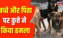 الور نیوز |  کتے نے لفٹ سے نکلتے ہوئے حملہ کر دیا، مالکن غلطی ماننے کے بجائے آپس میں لڑ پڑی۔