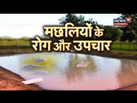 انناداتا |  مچھلی کاشت کرنے والے کاشتکار مچھلی میں بیماریوں سے بچاؤ کے طریقے بتا رہے ہیں۔