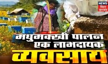 شہد کی مکھیاں پالنا: شہد کی مکھیاں پالنے کے اہم آلات اور طریقے، اہم پہلوؤں کو جانیں۔  کھیتی باڑی