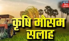 بہار کا موسم: کسانوں کو موسم پر مبنی زرعی مشورہ، 24 سے 27 نومبر تک موسم کے نمونے