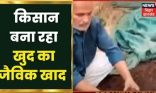 Bihar News: रसायनिक खाद मिलने की समस्या के बीच, Sheikhpura में एक किसान बना रहे है खुद का जैविक खाद
