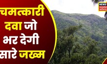 رام کے ماموں میں بنائی گئی شفا بخش دوا، پوری دنیا میں زیر بحث ہے۔  چھتیس گڑھ کی خبریں |  ایم پی نیوز |  رائے پور