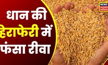Rewa Raid News : धान खरीदी से पहेल प्रशासन की बड़ी कार्रवाई, छापेमारी के दौरान 540 बोरी Paddy Seized