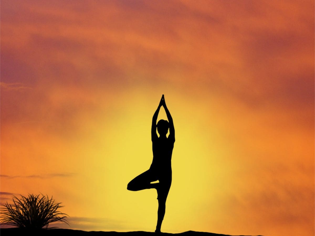Panch Tatva Human Body